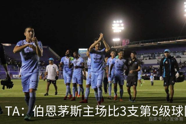 TA：伯恩茅斯主场比3支第5级球队还小，伊劳拉如今的压力远超从前